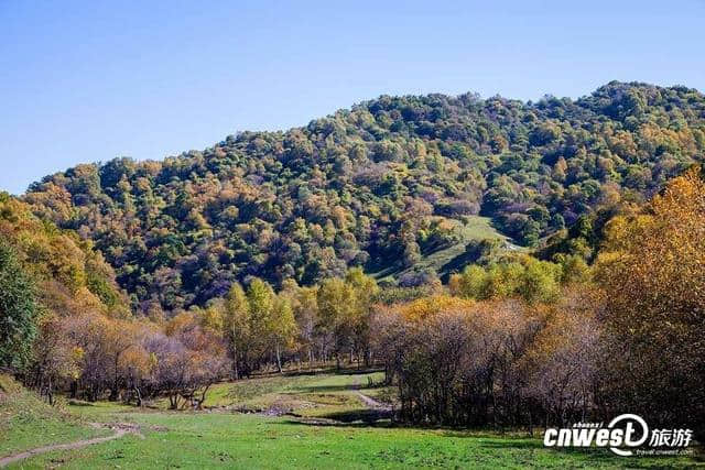 宝鸡经典游玩线路：关山牧场秋色渐浓