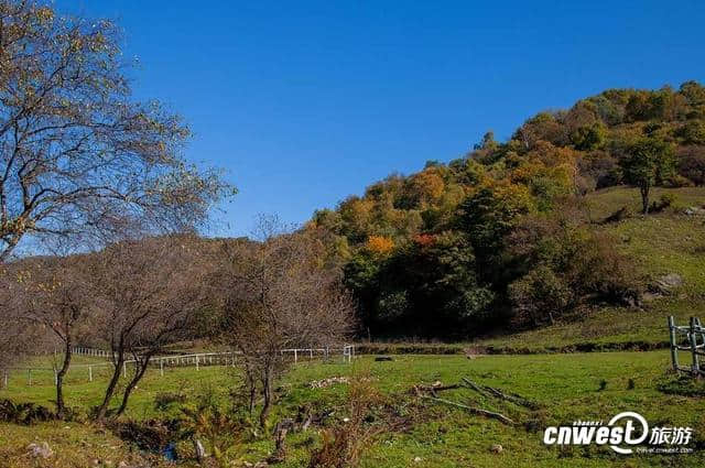 宝鸡经典游玩线路：关山牧场秋色渐浓