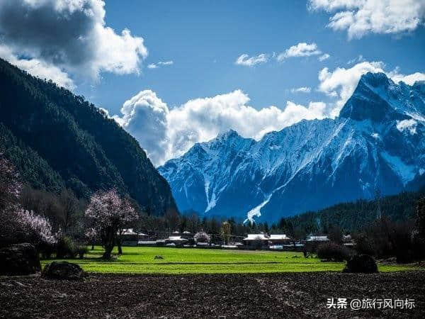 3月林芝桃花私藏攻略| 9天时间，打卡藏地所有美景，约否？