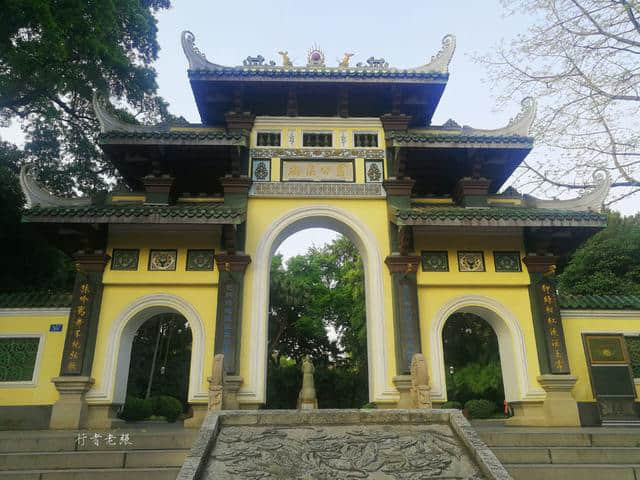 柳州这座公园110年历史，是国家重点公园，4A级旅游景区，还免费