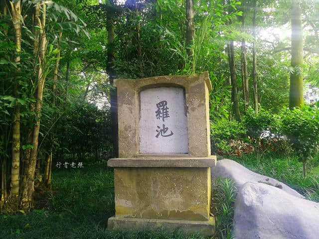 柳州这座公园110年历史，是国家重点公园，4A级旅游景区，还免费