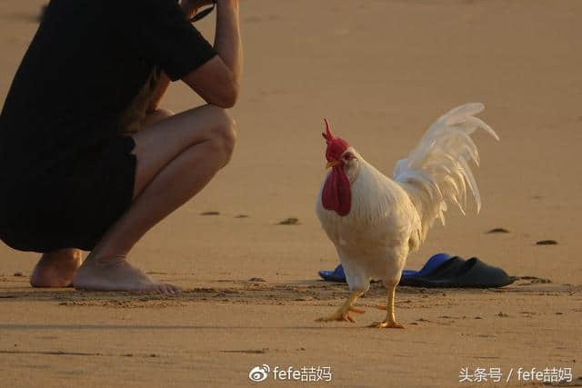 旅行看世界：海南琼海亲子游