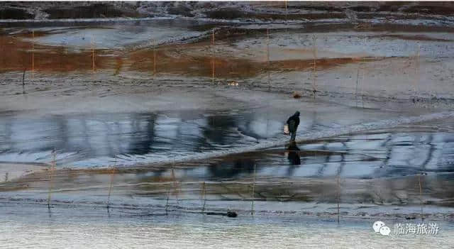 有意思，听说临海人想要“卖空气”？