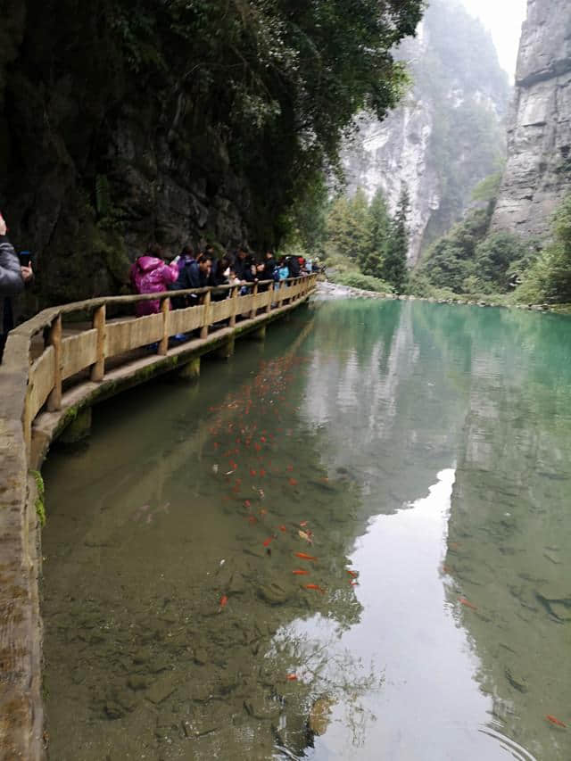 观人文印象武隆，赏天坑地缝美景