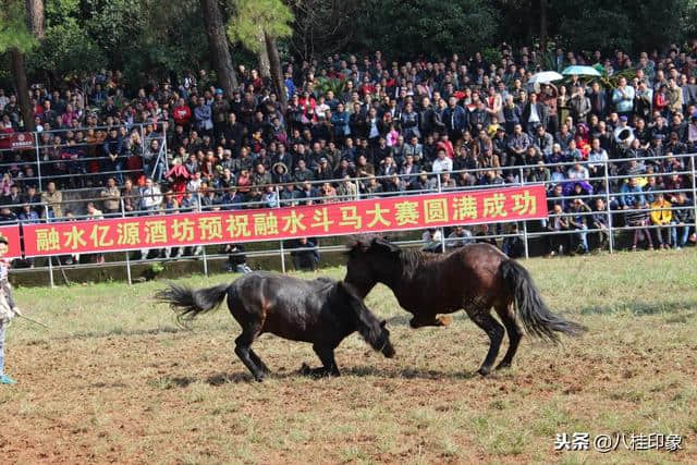 总投资509亿元 柳州旅游要火