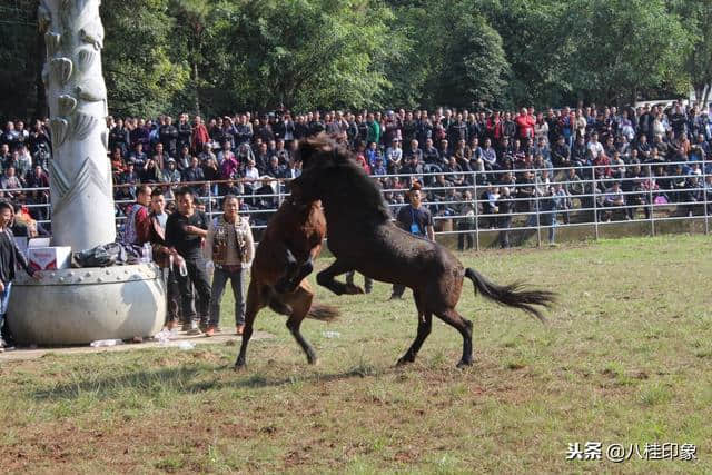 总投资509亿元 柳州旅游要火