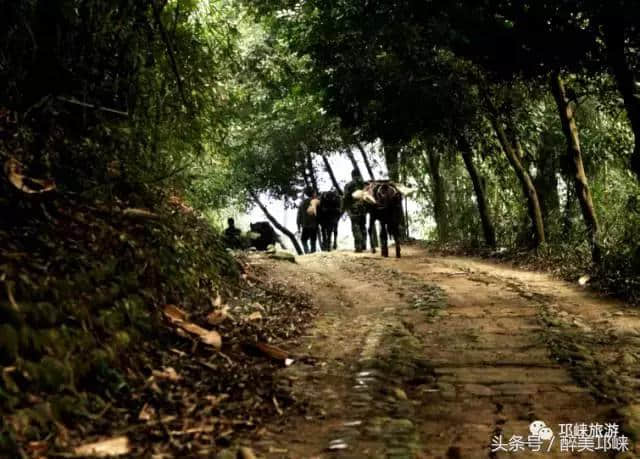 最新消息｜平乐古镇天台山通过5A级旅游景区资源景观质量评审