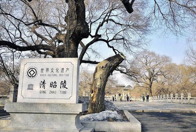 辽宁受欢迎的旅游景点，恰逢时节到此一游