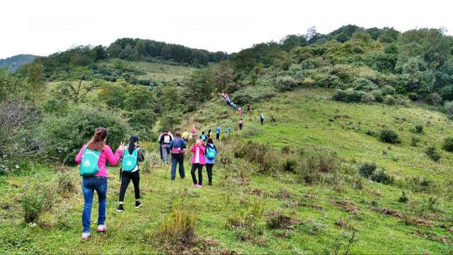 华亭关山旅游经济区成功举办关山大景区徒步穿越活动