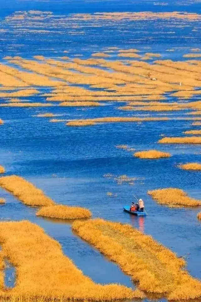 贵州又对全国游客放大招！半价游全省，12月旅行目的地就去这里！