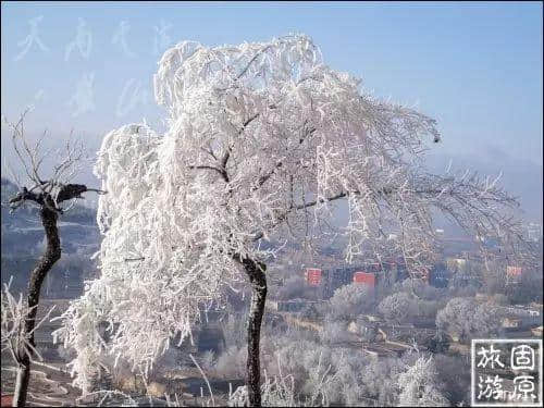 幸好在固原，不然……