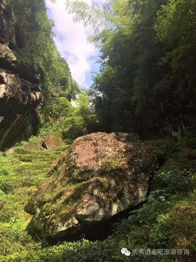 武夷山免费行之白云寺