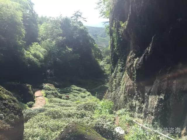 武夷山免费行之白云寺