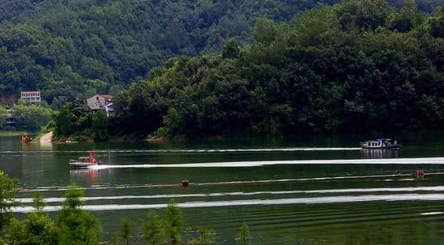 走进安康瀛湖，来一场美景与美食相融的探秘之旅