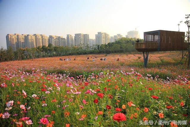 衢州这些高逼格的旅游圣地你去过几个？（一）