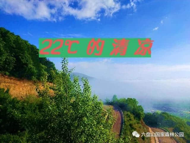 盛夏已至，来六盘山国家森林公园嗨翻22℃夏天