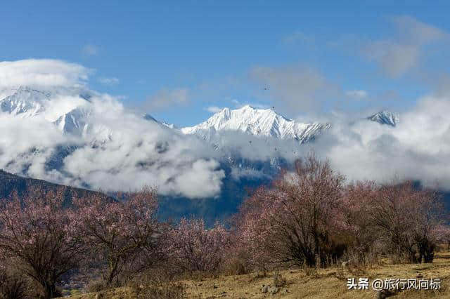 2019林芝赏桃花攻略|梦回拉萨，倾多镇桃花沟觅桃源！