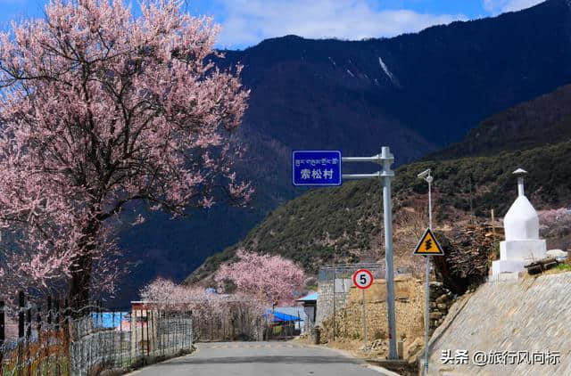 2019林芝赏桃花攻略|梦回拉萨，倾多镇桃花沟觅桃源！