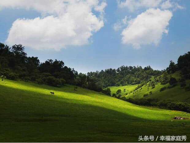 西安避暑好去处 关山牧场来乘凉