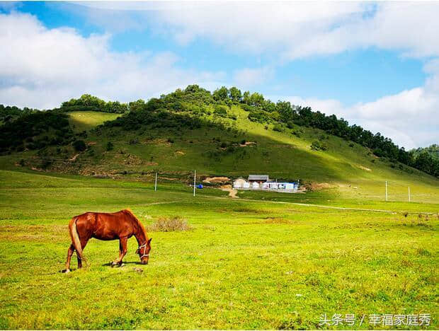 西安避暑好去处 关山牧场来乘凉