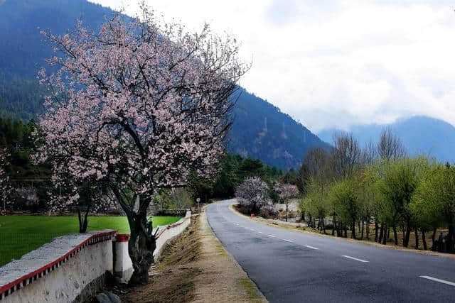 大美林芝，无处不风光