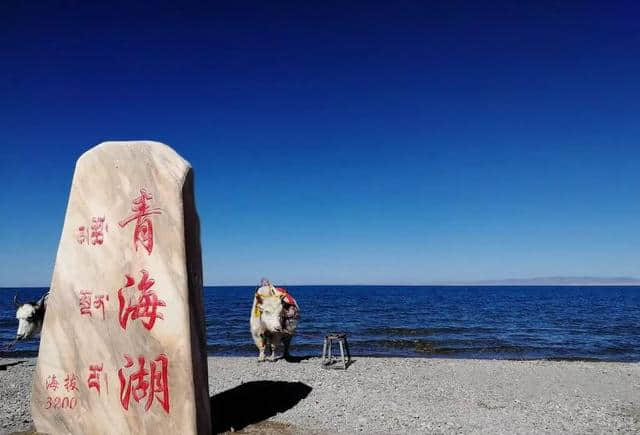 正当时！去大西北领略醉美光景，就坐夕阳红旅游专列