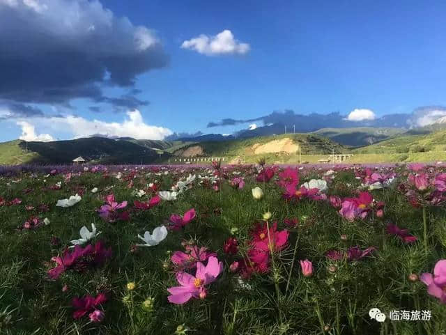 相约千年古城，悦享巴蜀风情丨临海携手松潘，续写文旅新篇章