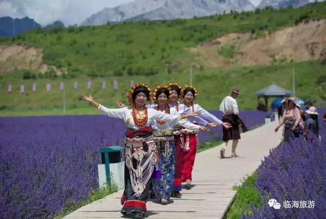 相约千年古城，悦享巴蜀风情丨临海携手松潘，续写文旅新篇章