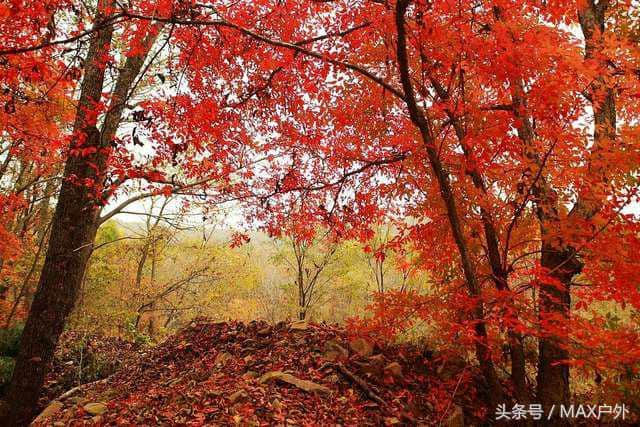 10个国内鲜有人知的秋季旅行地，景美人少秋意浓