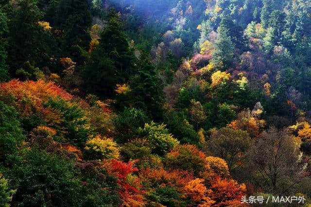 10个国内鲜有人知的秋季旅行地，景美人少秋意浓