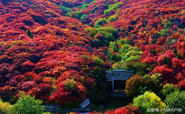 10个国内鲜有人知的秋季旅行地，景美人少秋意浓