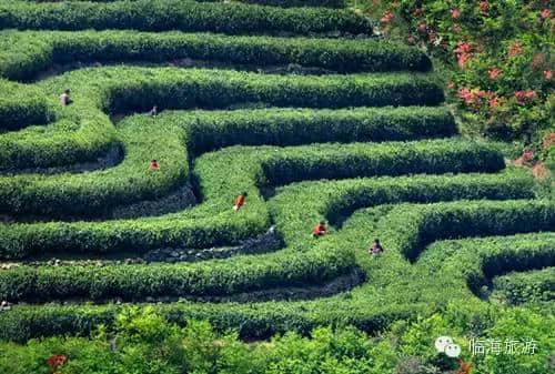 爸爸，你的旅行我来陪伴！