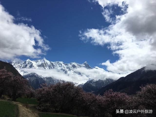 最美的春天，就要去林芝！