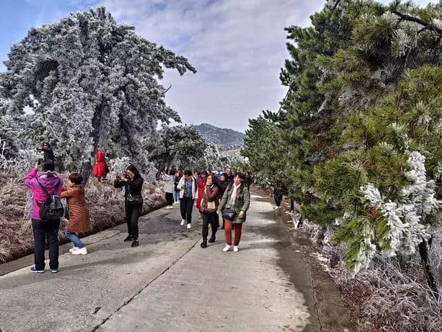 运城旅行商考察团踩线王莽岭景区，助推景区游客市场增量新举措