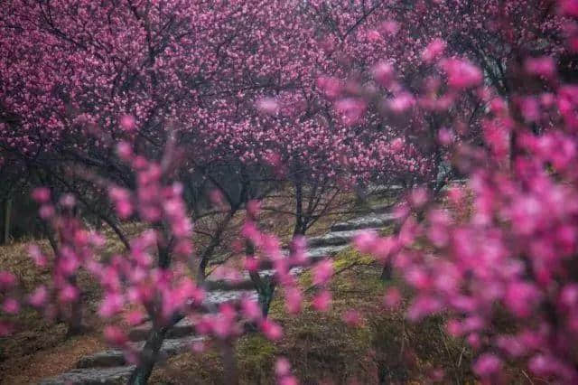 节后甩肉最佳旅游地，总有一款适合你~