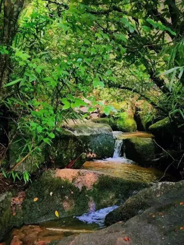 安康这几个地方才是今夏最适合避暑的清凉胜地！让你瞬间清凉10℃