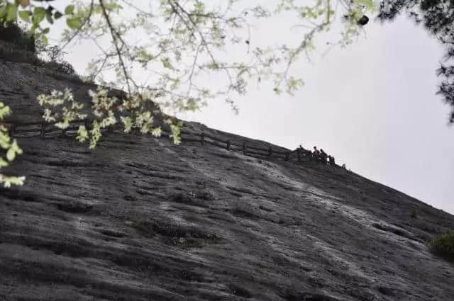 “梦游仙境”武夷山旅游攻略