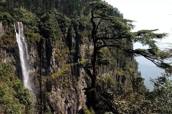 耍眉山 | 国庆假期倒计时！不走远了，车程1小时的东坡故里、柳江古镇召唤你！