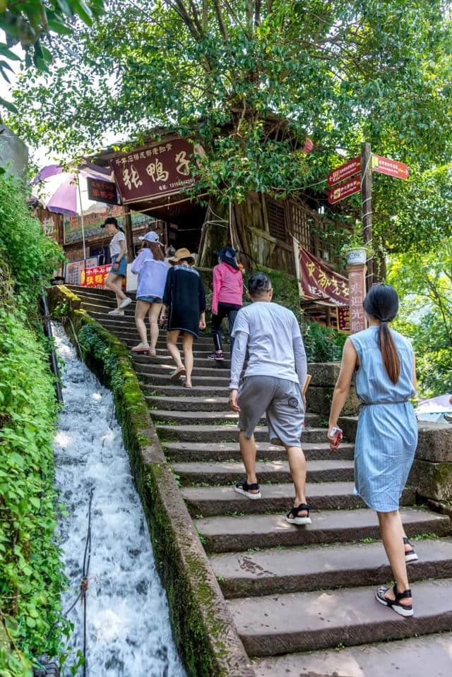 走进山水洪雅，体验山巅上的玻璃栈道，遇见千年柳江古镇