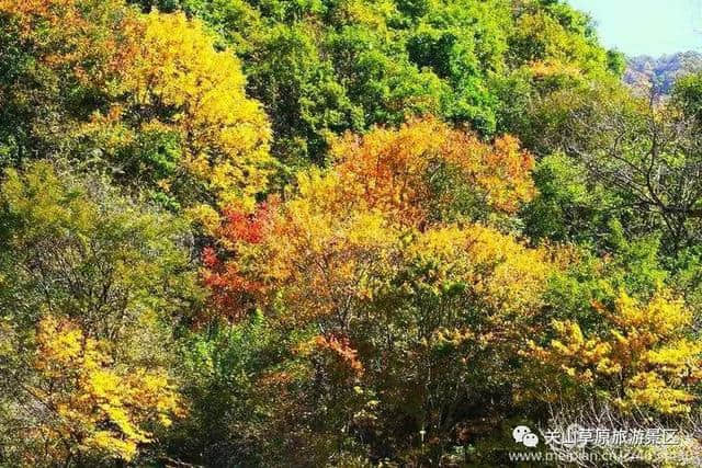 关山草原秋色撩人