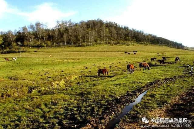 关山草原秋色撩人