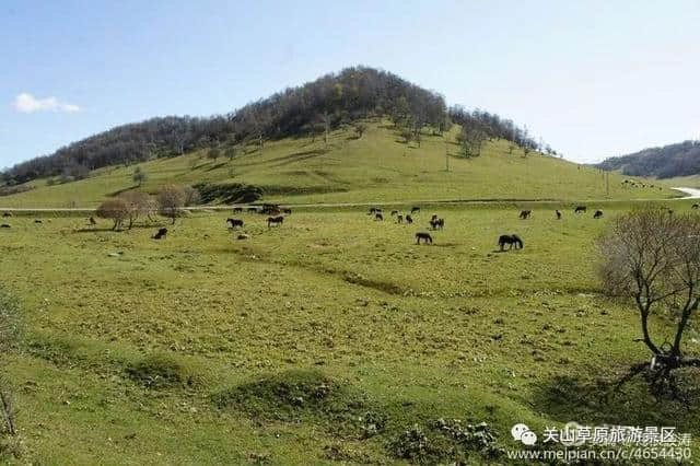 关山草原秋色撩人