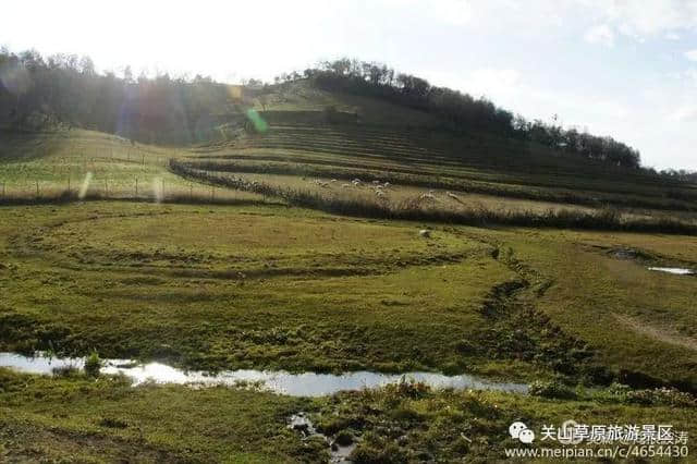 关山草原秋色撩人