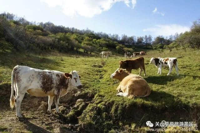 关山草原秋色撩人