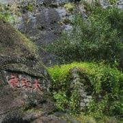 「攻略」武夷山休闲三日游