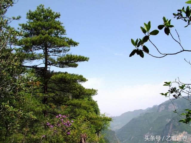 到了河南林州市，有时间一定去这八个旅游景点看一看