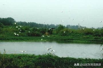 青山湿地公园六安水上乐园景区