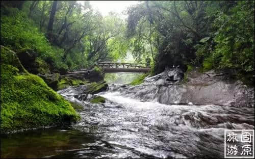 夏享清凉，怎么能少了六盘山森林公园！