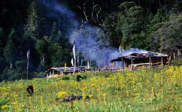 旅游攻略 | 下一站，去林芝~~~