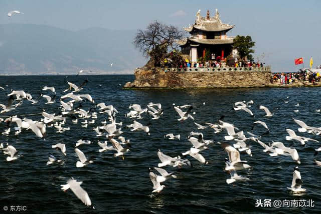 一场说走就走的旅行，大理2天旅游小攻略